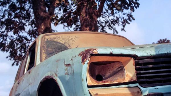&copy; Foto: Fungai Chigumbura/unsplash